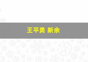 王平勇 新余